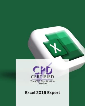 Excel 2016 Expert