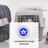 Live-Animals-for-Cargo-Personnel-1.jpg