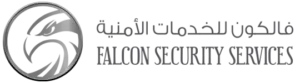 Falcon-services-300x83-1